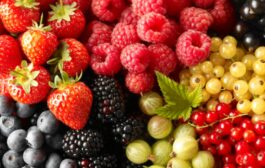 Quelle alimentation contre la maladie d'Alzheimer ?