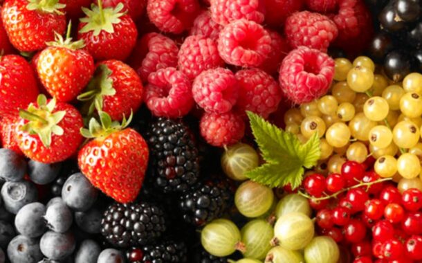 Quelle alimentation contre la maladie d'Alzheimer ?