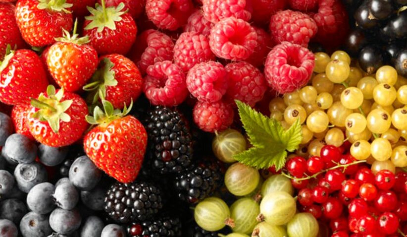 Quelle alimentation contre la maladie d'Alzheimer ?