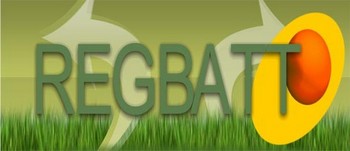 300x250.swf  envato_studio