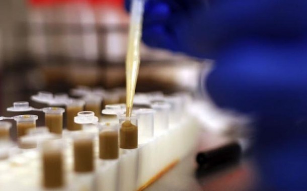 Des matières fécales plus efficaces que les antibiotiques ?