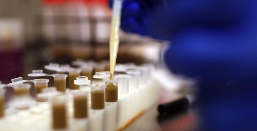 Des matières fécales plus efficaces que les antibiotiques ?
