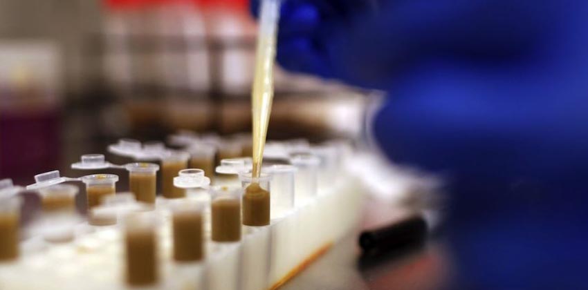 Des matières fécales plus efficaces que les antibiotiques ?