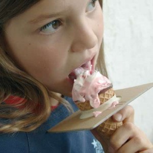 protège glace