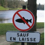 Poisson interdit sauf en laisse