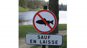 Poisson interdit sauf en laisse