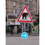 Traversée d'elephant