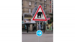 Traversée d'elephant