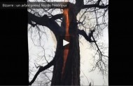 Phénomène étrange : un randonneur filme un arbre qui prend feu de l’intérieur