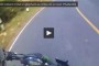 Phénomène étrange : un randonneur filme un arbre qui prend feu de l’intérieur