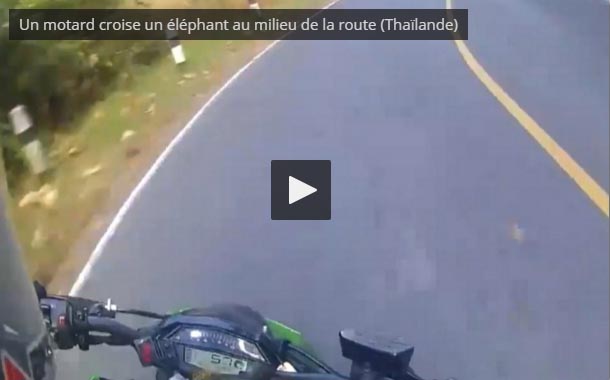 Un motard a une grosse surprise dans un virage (Thaïlande)