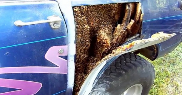 il trouve quelque chose d'incroyable dans sa voiture !