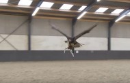 ils entrainent des aigles à chasser les drones suspects !
