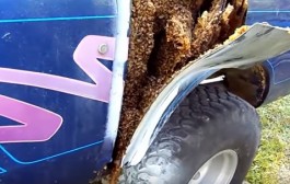 Il tombe en panne avec sa voiture et va découvrir quelque chose d’incroyable sous sa carrosserie…
