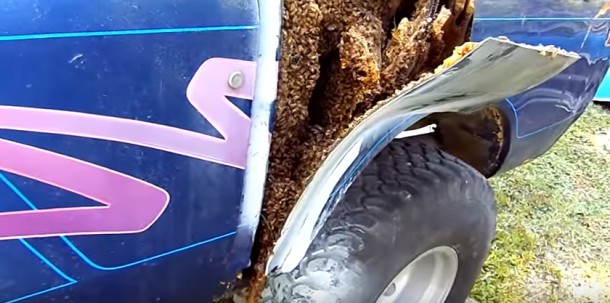 Il tombe en panne avec sa voiture et va découvrir quelque chose d’incroyable sous sa carrosserie…