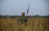 Lorraine: Il tire sur une biche et abat un chasseur