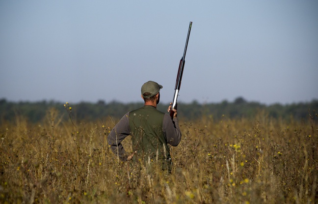 Lorraine: Il tire sur une biche et abat un chasseur