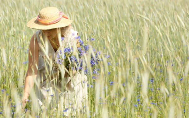 Phytothérapie : les plantes à cueillir pendant l'été