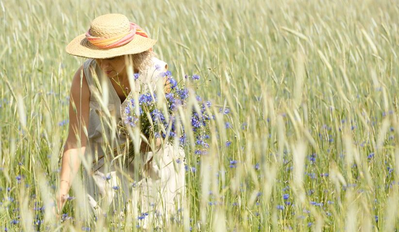 Phytothérapie : les plantes à cueillir pendant l'été