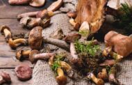 Manger des champignons préviendrait la maladie d'Alzheimer