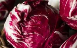 Manger de la salade préviendrait la maladie d'Alzheimer