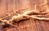 Phytothérapie : 5 plantes alliées des neurones