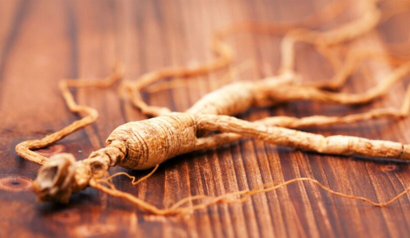 Phytothérapie : 5 plantes alliées des neurones