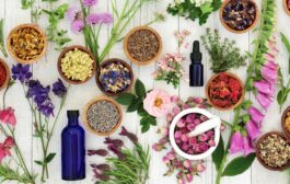 Arthrose, douleurs, sommeil, stress… 25 plantes surdouées !
