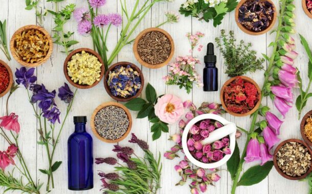 Arthrose, douleurs, sommeil, stress… 25 plantes surdouées !