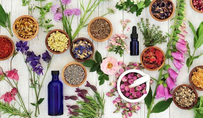 Arthrose, douleurs, sommeil, stress… 25 plantes surdouées !