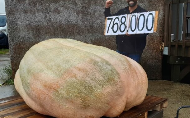 Avec près de 770 kilos, Medhi bat le record de France du plus gros potiron