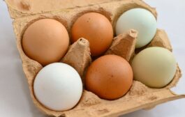 Un nutritionniste explique la différence entre les œufs blancs et les œufs bruns