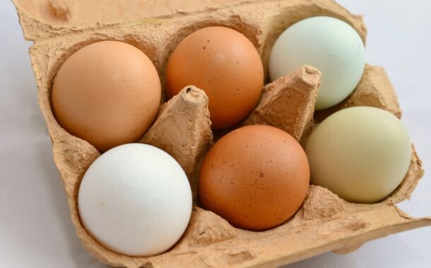 Un nutritionniste explique la différence entre les œufs blancs et les œufs bruns