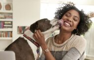 Pourquoi vous ne devriez jamais vous faire lécher le visage par votre chien