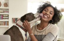 Pourquoi vous ne devriez jamais vous faire lécher le visage par votre chien