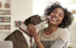 Pourquoi vous ne devriez jamais vous faire lécher le visage par votre chien