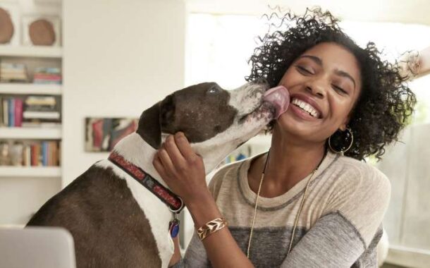 Pourquoi vous ne devriez jamais vous faire lécher le visage par votre chien